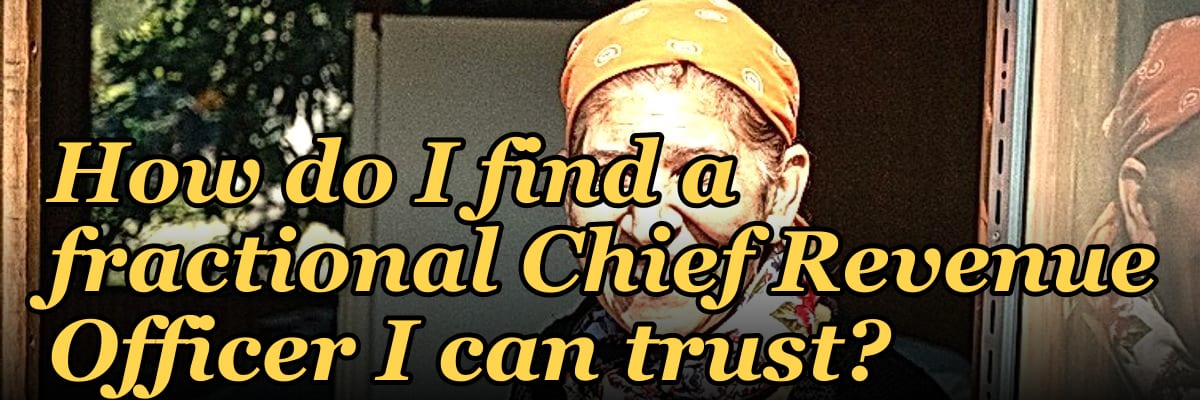 How do I find a fractional Chief Revenue Officer I can trust?