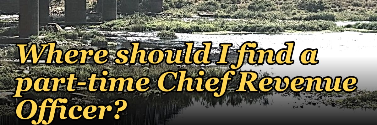 Where should I find a part-time Chief Revenue Officer?