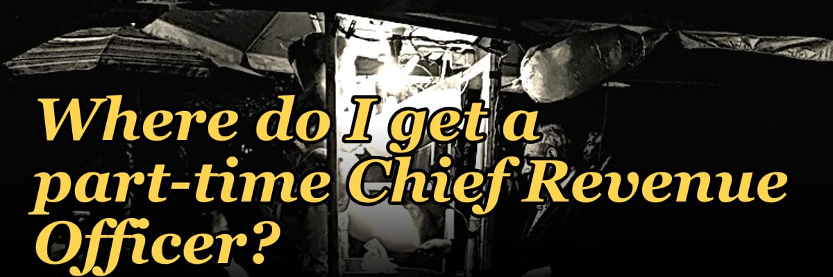 Where do I get a part-time Chief Revenue Officer?