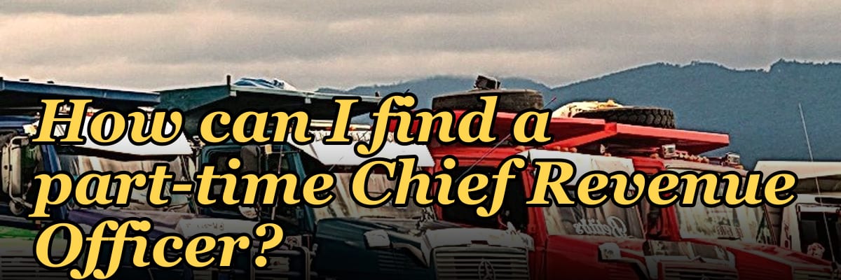 How can I find a part-time Chief Revenue Officer?