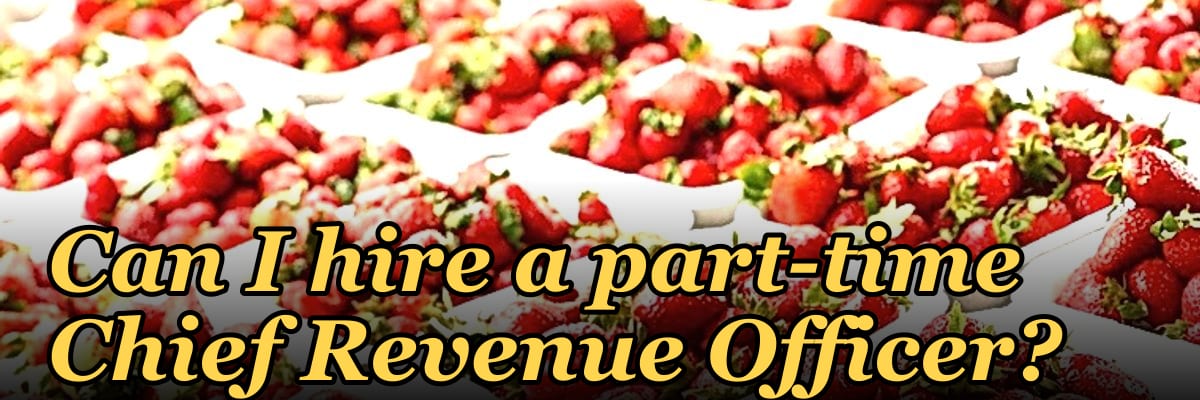Can I hire a part-time Chief Revenue Officer?