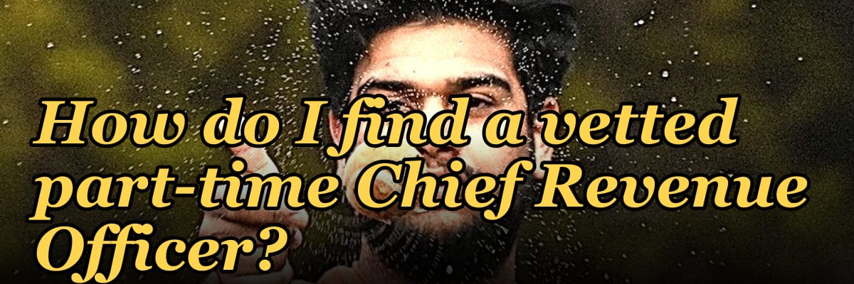 How do I find a vetted part-time Chief Revenue Officer?