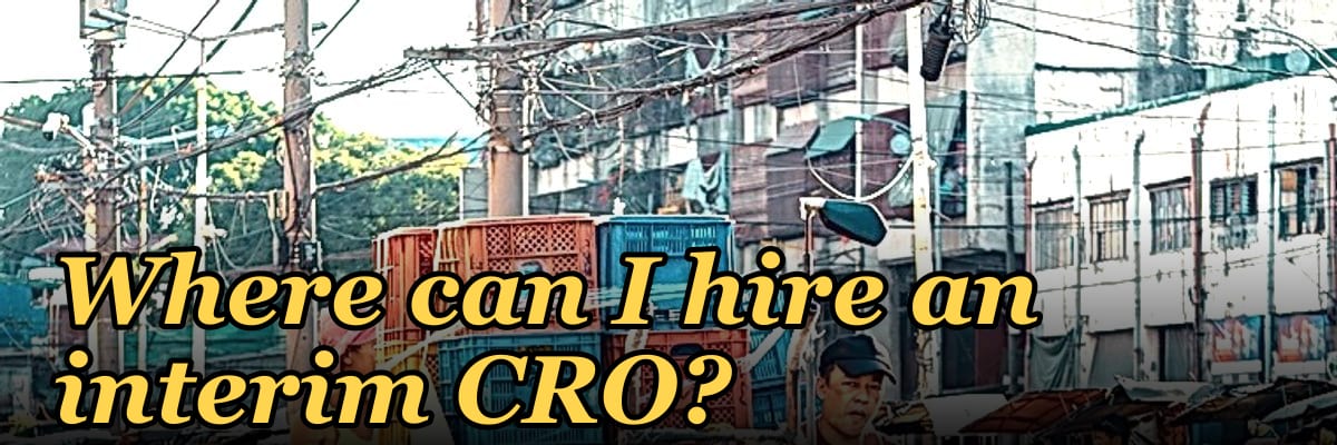 Where can I hire an interim CRO?