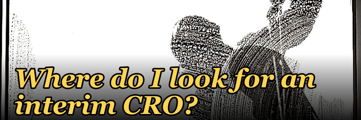 Where do I look for an interim CRO?