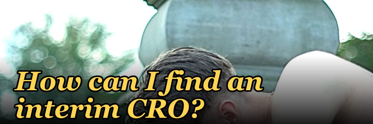 How can I find an interim CRO?