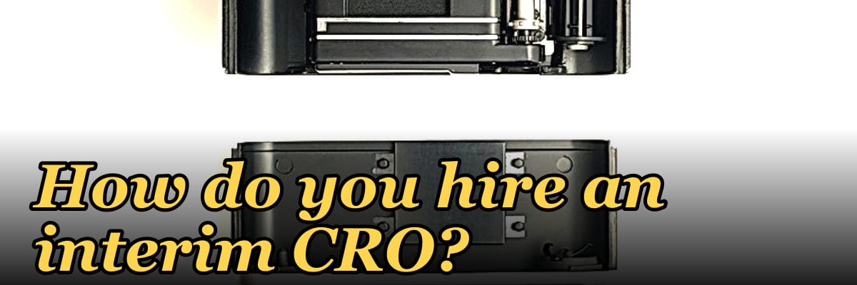 How do you hire an interim CRO?