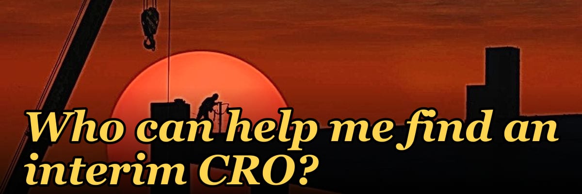 Who can help me find an interim CRO?