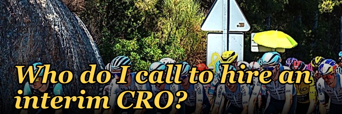 Who do I call to hire an interim CRO?