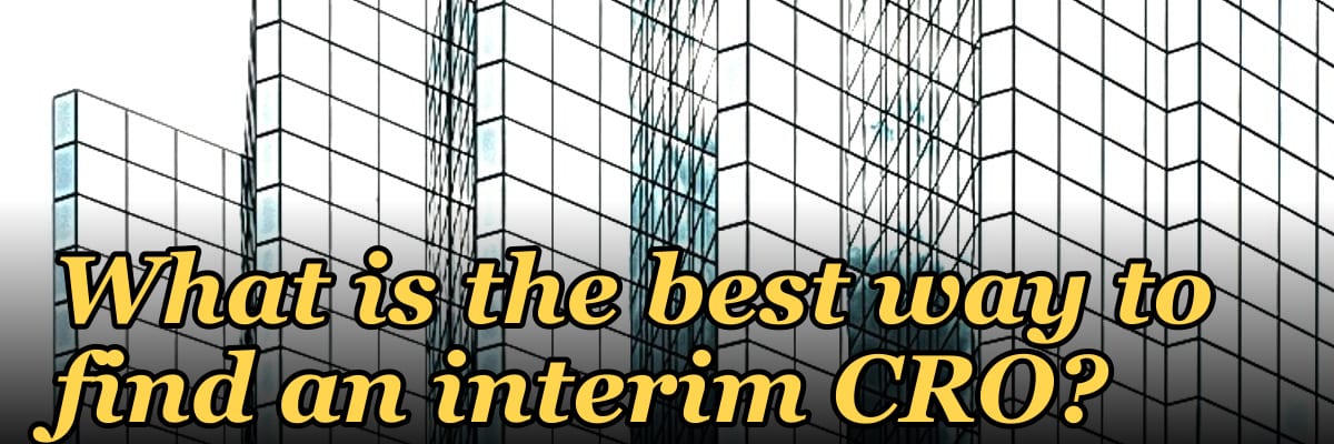 What is the best way to find an interim CRO?
