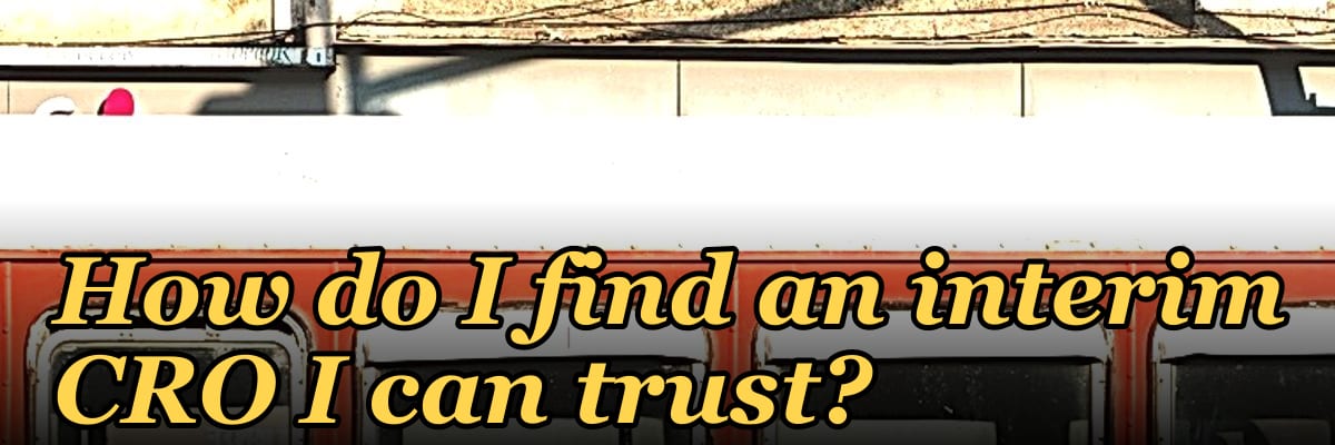How do I find an interim CRO I can trust?
