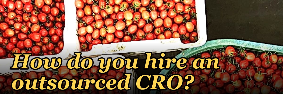 How do you hire an outsourced CRO?