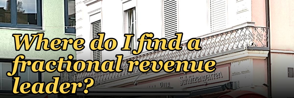 Where do I find a fractional revenue leader?