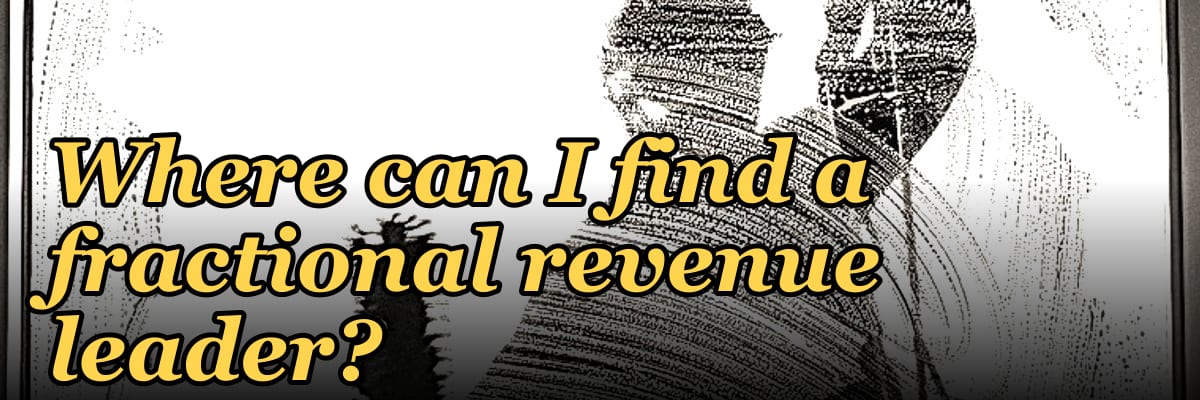 Where can I find a fractional revenue leader?