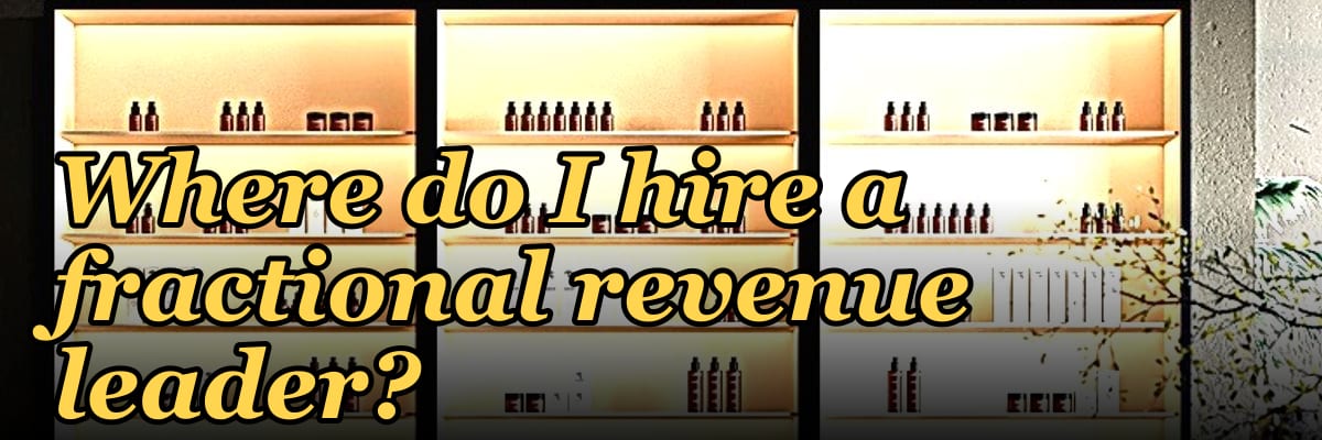 Where do I hire a fractional revenue leader?