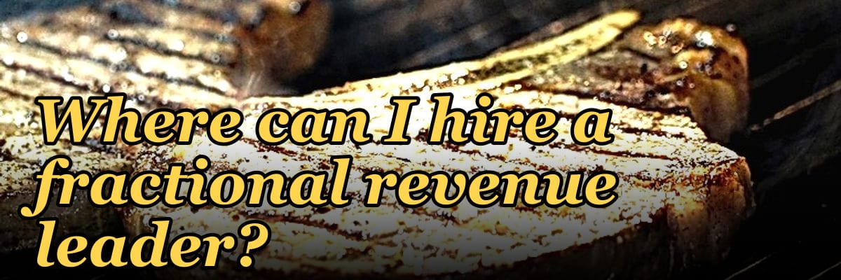 Where can I hire a fractional revenue leader?