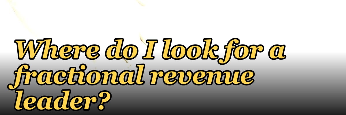 Where do I look for a fractional revenue leader?