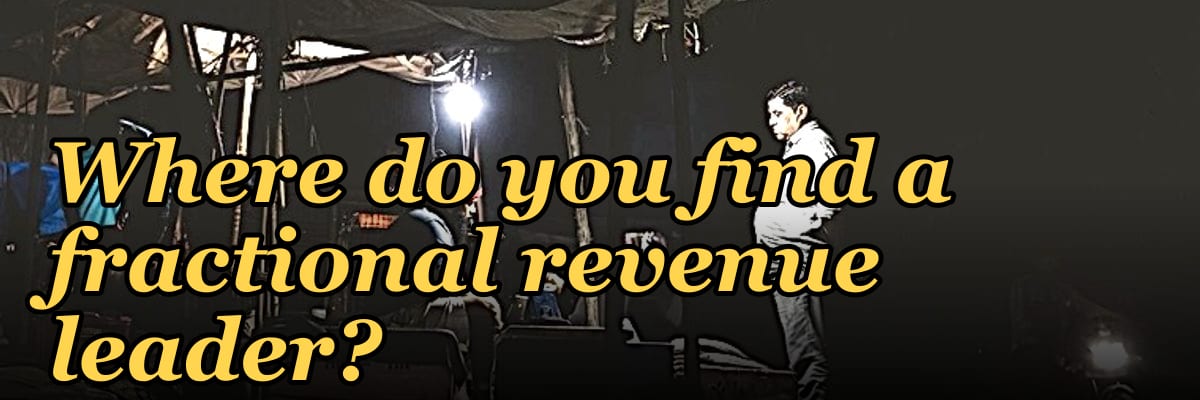 Where do you find a fractional revenue leader?