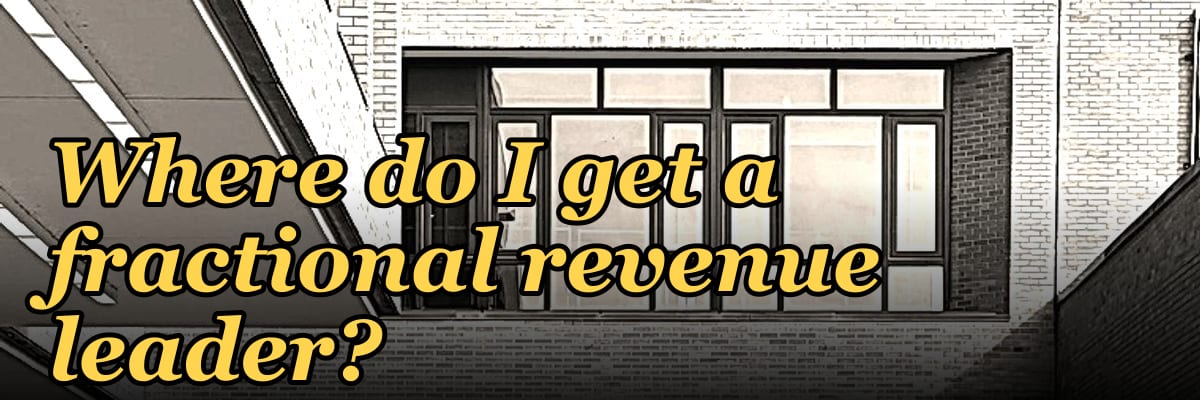 Where do I get a fractional revenue leader?