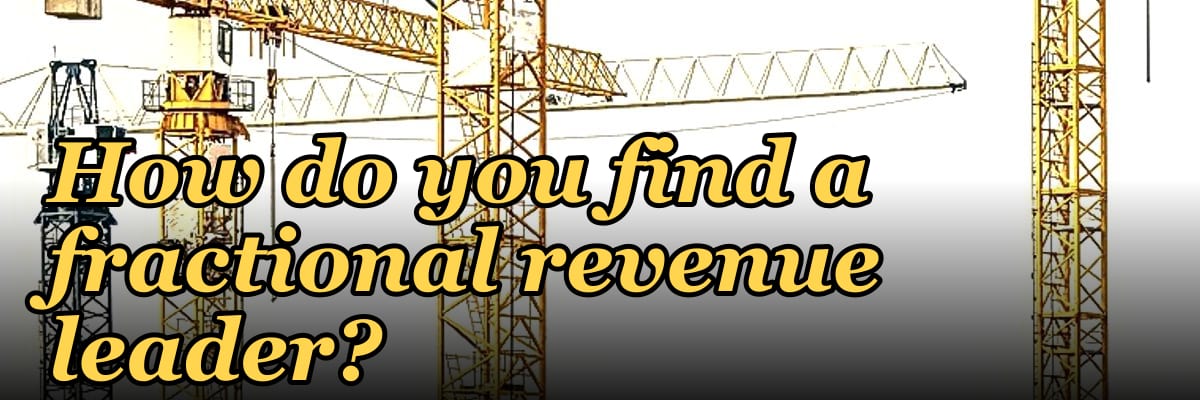 How do you find a fractional revenue leader?