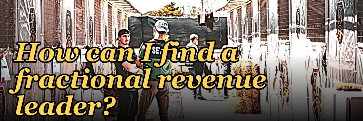 How can I find a fractional revenue leader?