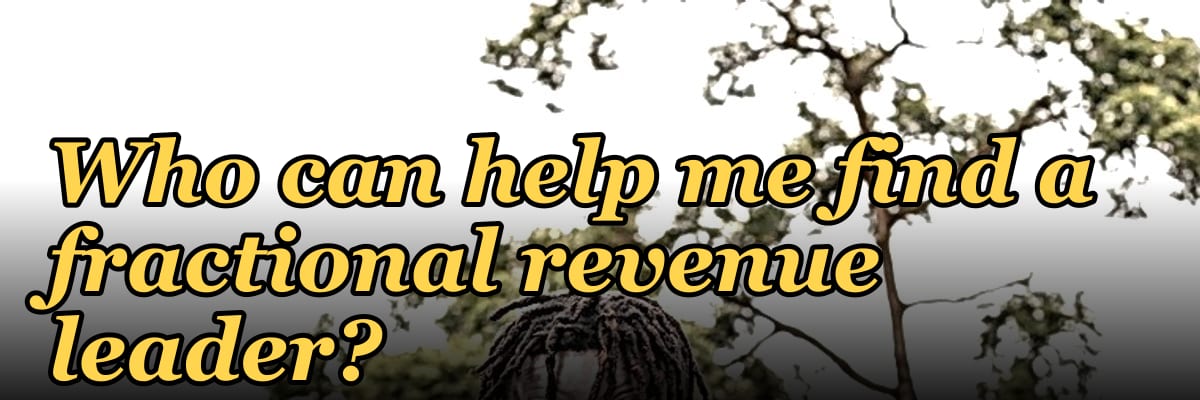 Who can help me find a fractional revenue leader?