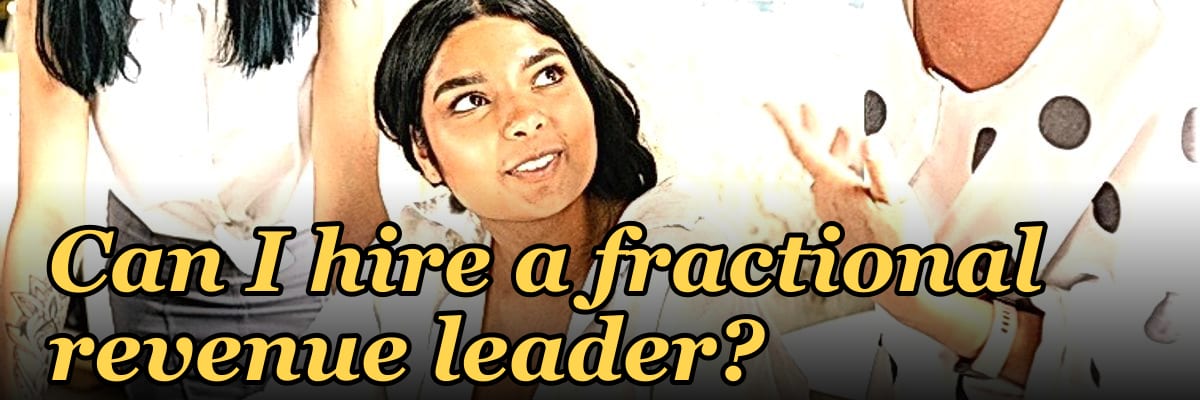 Can I hire a fractional revenue leader?