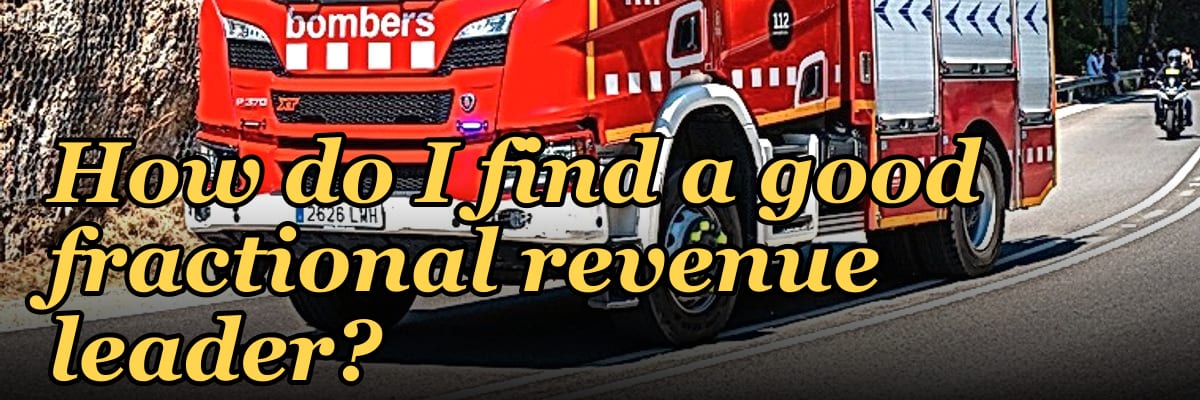 How do I find a good fractional revenue leader?
