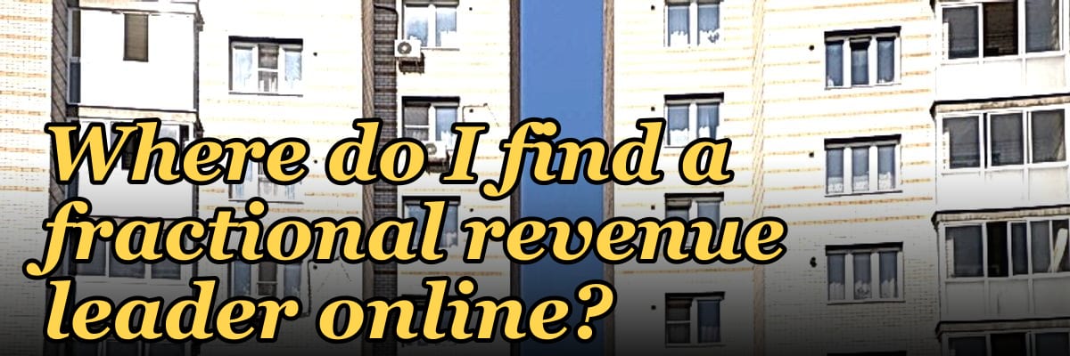 Where do I find a fractional revenue leader online?
