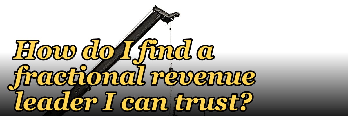 How do I find a fractional revenue leader I can trust?