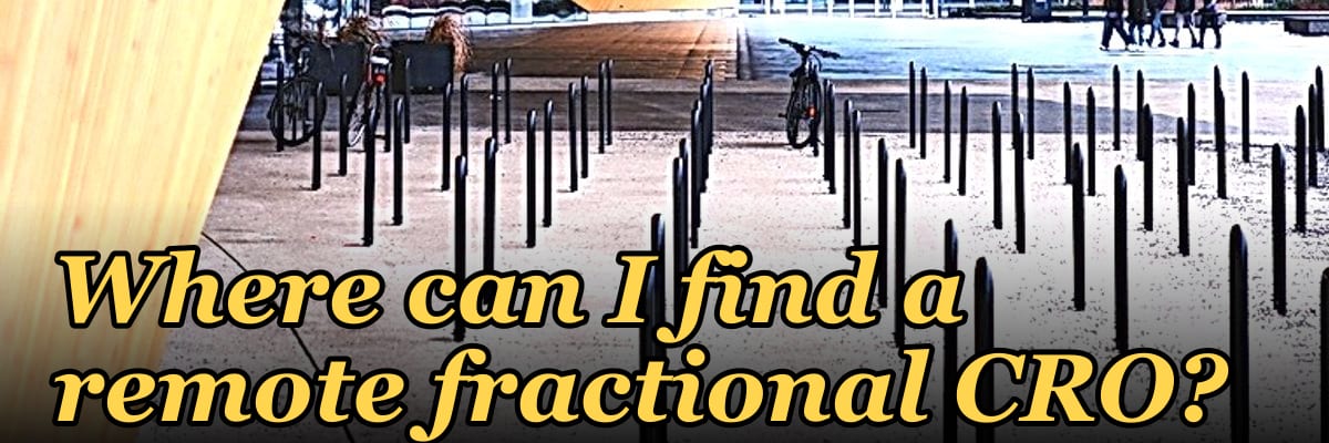 Where can I find a remote fractional CRO?