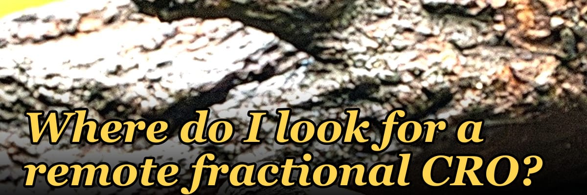 Where do I look for a remote fractional CRO?
