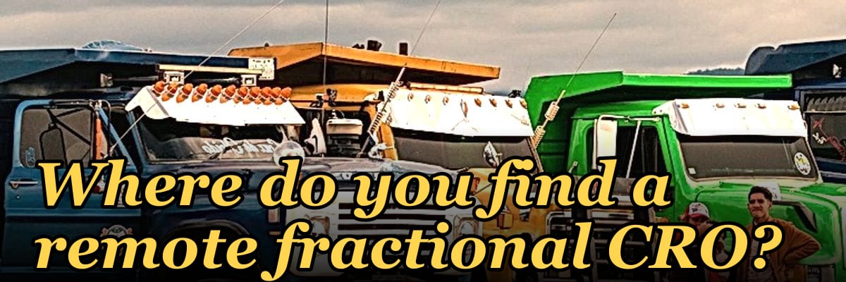 Where do you find a remote fractional CRO?