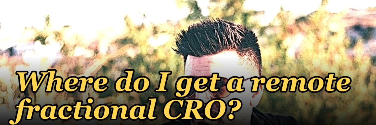 Where do I get a remote fractional CRO?