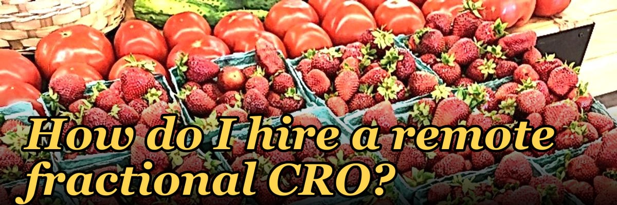How do I hire a remote fractional CRO?