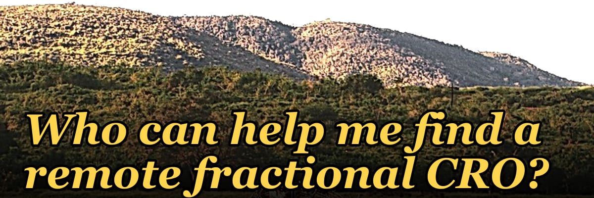 Who can help me find a remote fractional CRO?