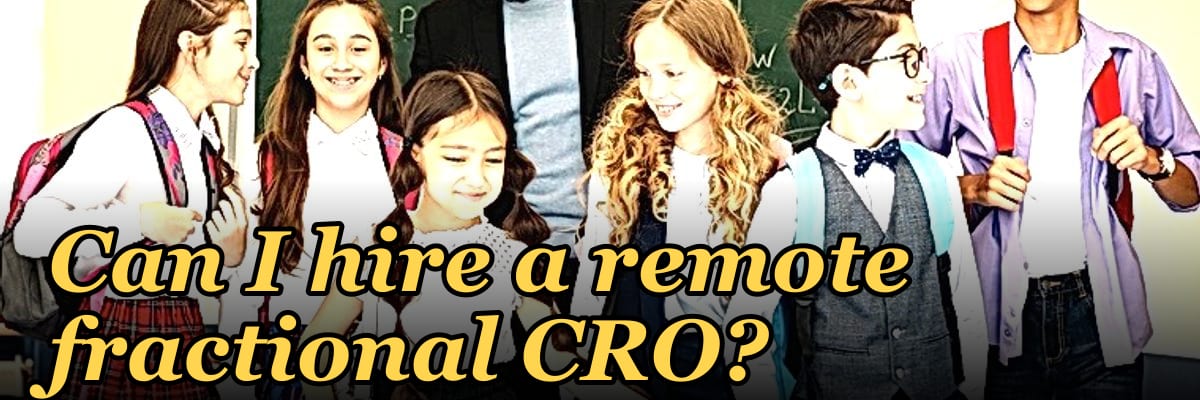 Can I hire a remote fractional CRO?