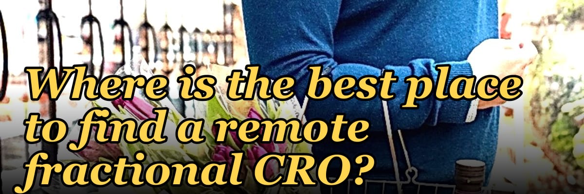 Where is the best place to find a remote fractional CRO?
