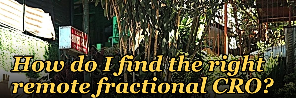How do I find the right remote fractional CRO?
