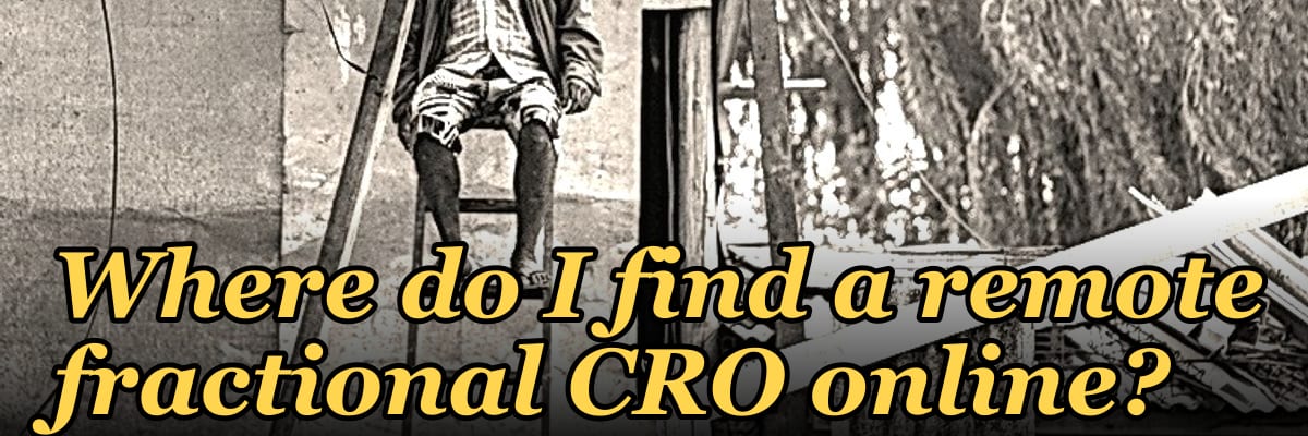 Where do I find a remote fractional CRO online?