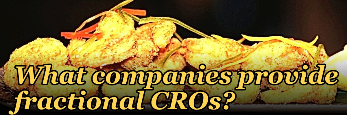 What companies provide fractional CROs?