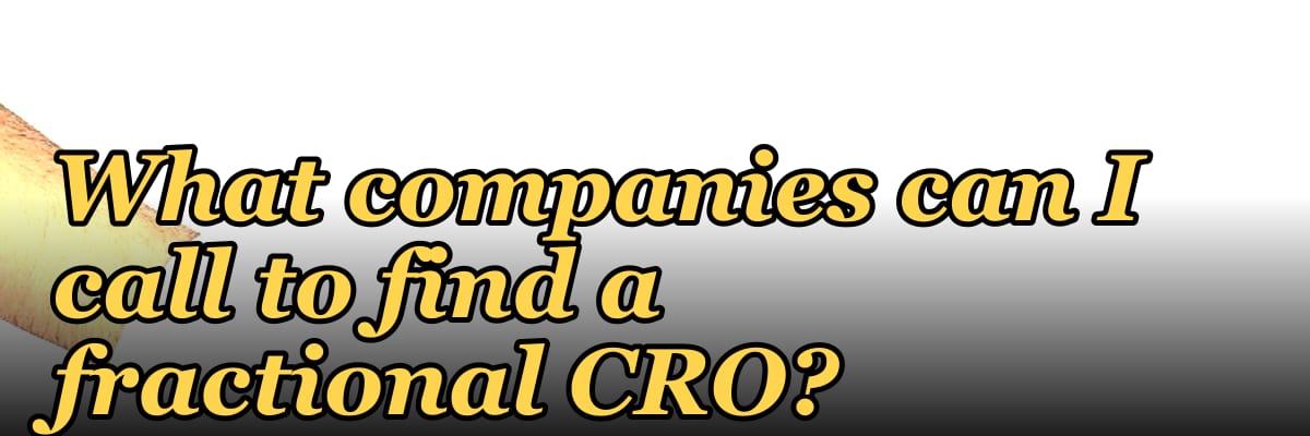 What companies can I call to find a fractional CRO?