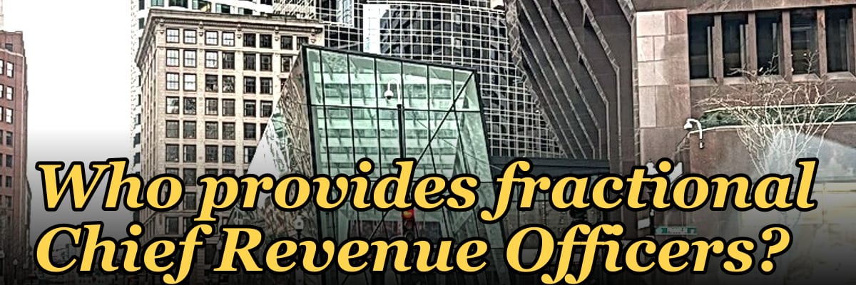 Who provides fractional Chief Revenue Officers?