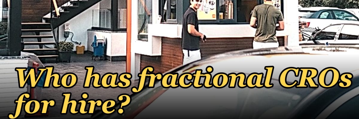 Who has fractional CROs for hire?