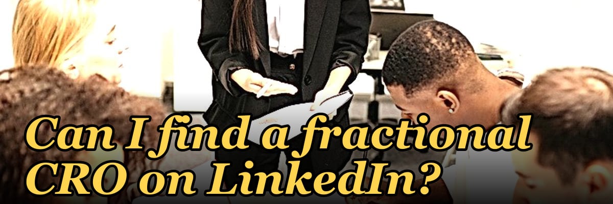 Can I find a fractional CRO on LinkedIn?