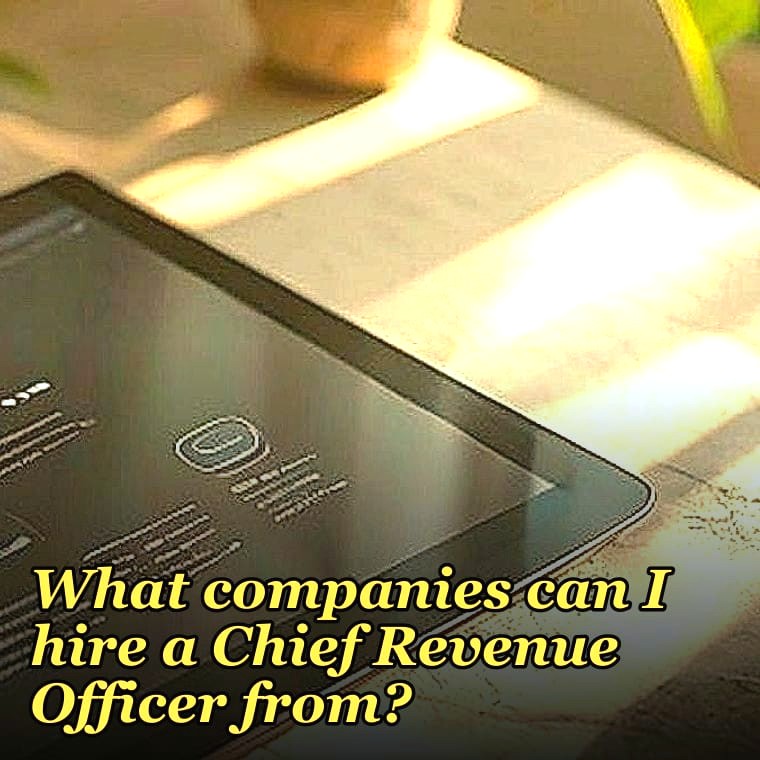 What companies can I hire a Chief Revenue Officer from in 2027?