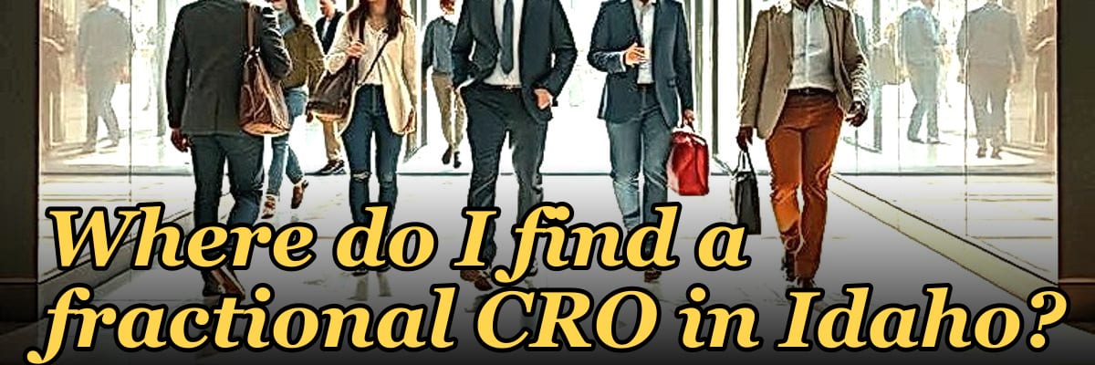 Where do I find a fractional CRO in Idaho in 2027?