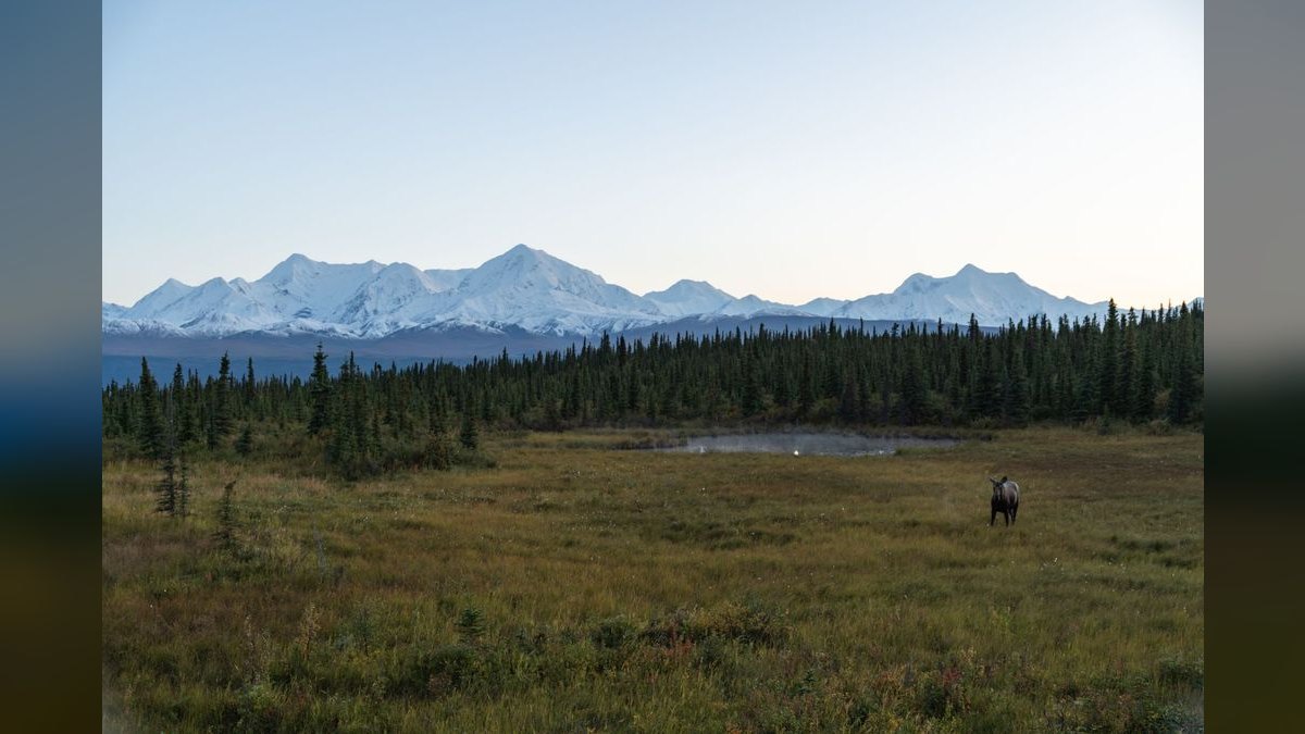 How do I hire a fractional CRO in Alaska in 2027 — figure 1