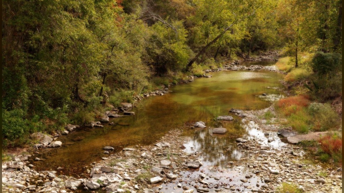 What should I look for in a fractional CRO in Arkansas in 2027?