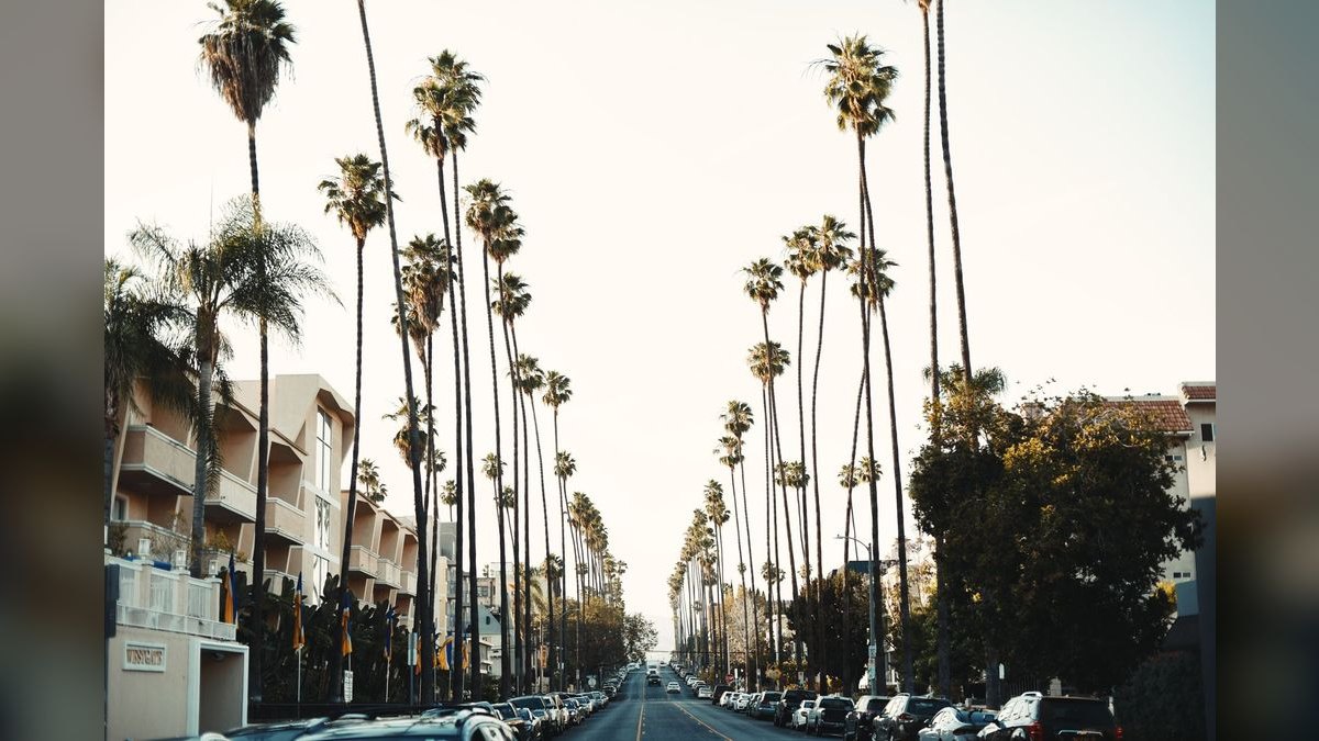 How do I hire a fractional CRO in California — figure 2