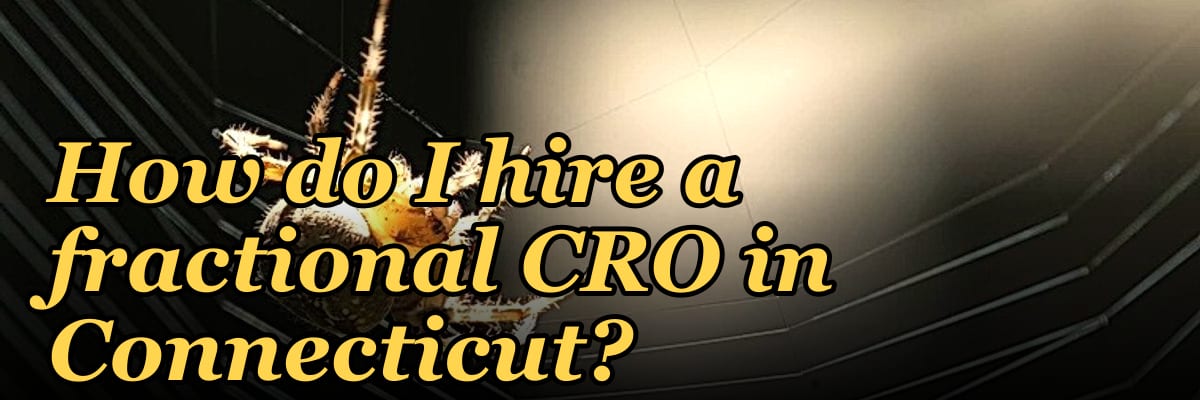 How do I hire a fractional CRO in Connecticut in 2027?